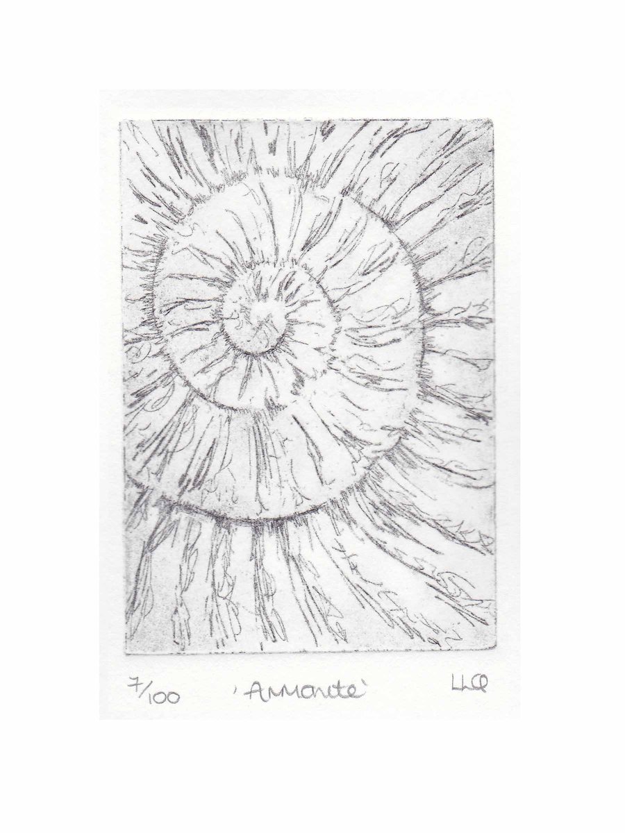 Etching no.7 of an ammonite fossil in an edition of 100