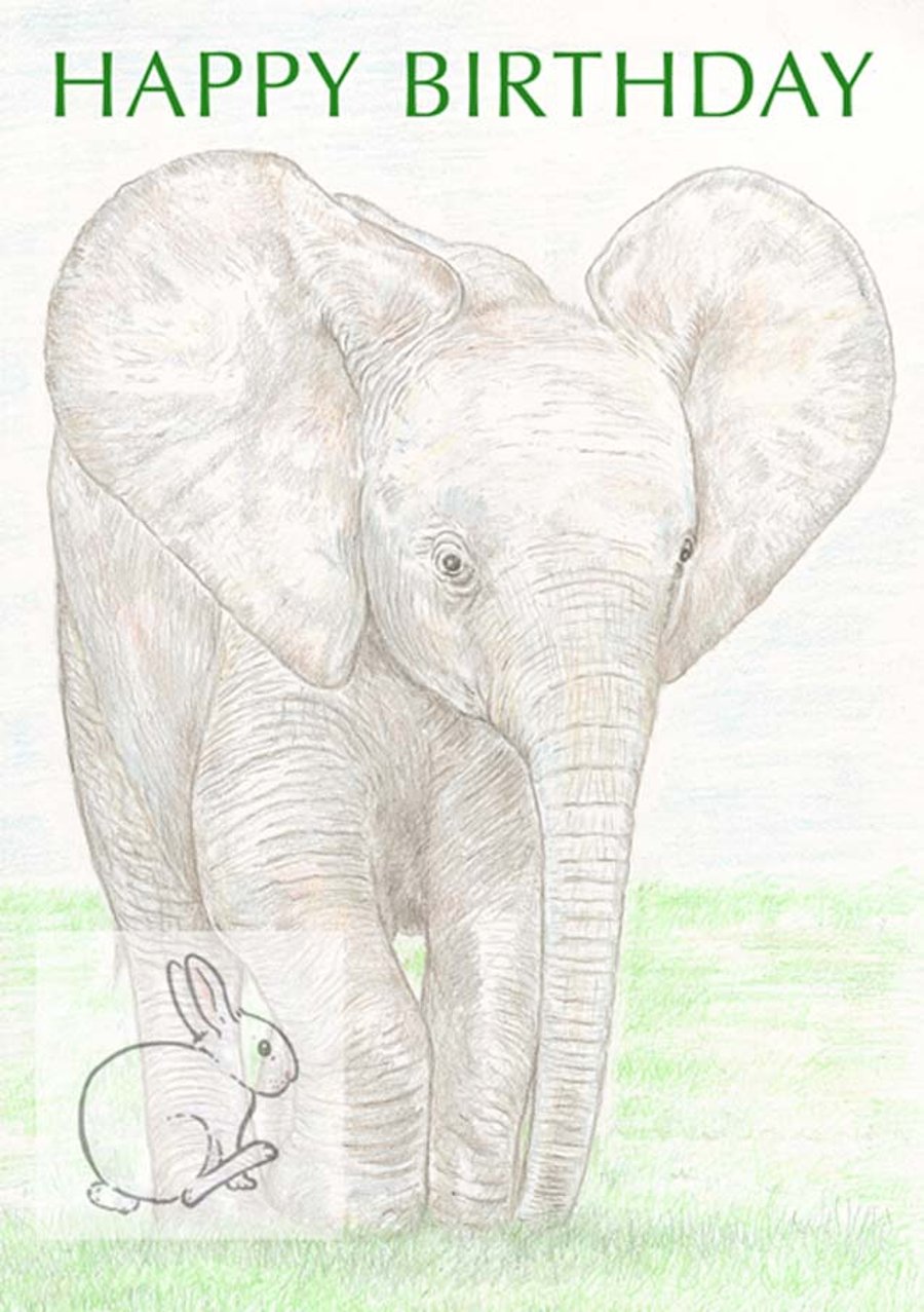 Baby African Elephant - Birthday Card