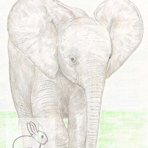 Baby African Elephant - Birthday Card
