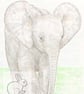 Baby African Elephant - Birthday Card - Image 1