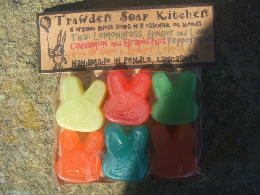  organic rabbit guest  soaps in 5 aromatherapy blends --gift for bunny lovers