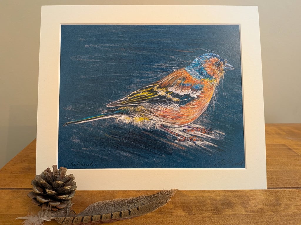 Chaffinch, a signed print of an original drawing.