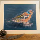 Chaffinch, a signed print of an original drawing.