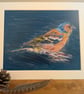 Chaffinch, a signed print of an original drawing.