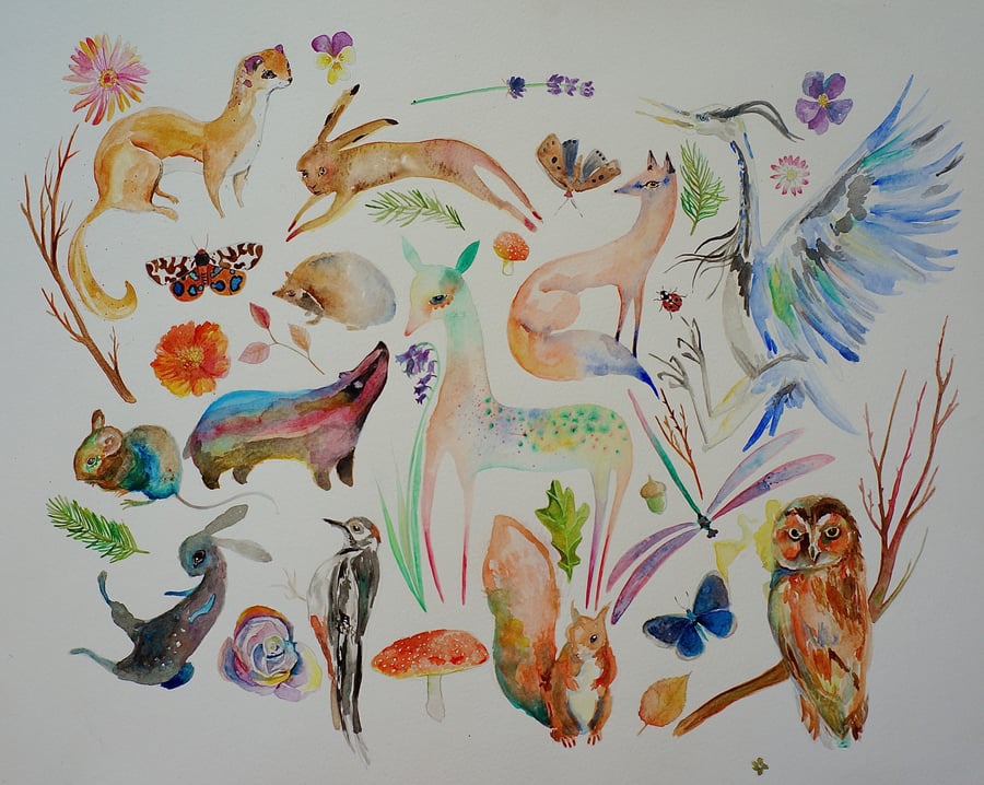 Wildlife Medley Watercolours