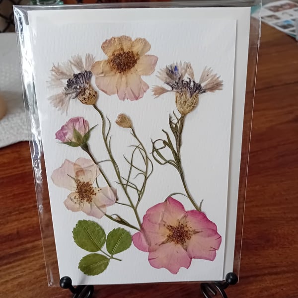 Beautifully crafted pressed flower greeting card. Roses, miniature cornflower