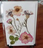Beautifully crafted pressed flower greeting card. Roses, miniature cornflower