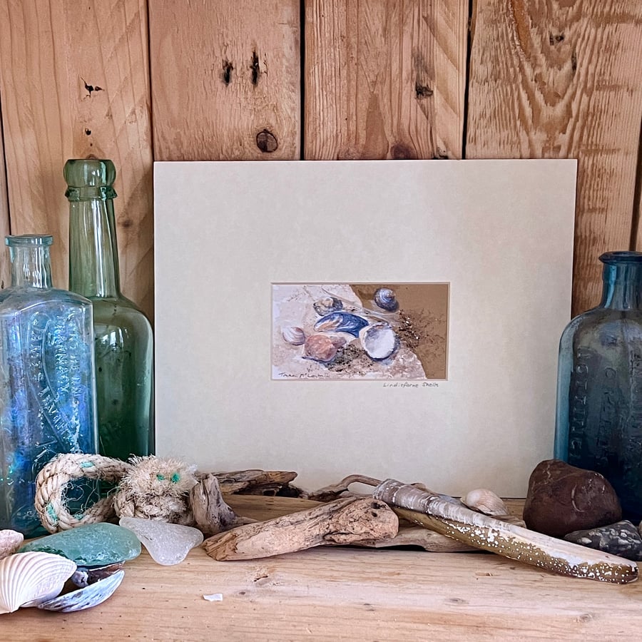 Lindisfarne Shells, original mixed media painting