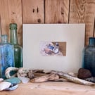 Lindisfarne Shells, original mixed media painting