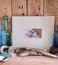 Lindisfarne Shells, original mixed media painting