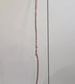 Hand carved walking sticks Ceremonial staff - Image 4