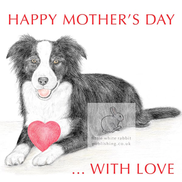 Ivy the Border Collie - Mother's Day Card