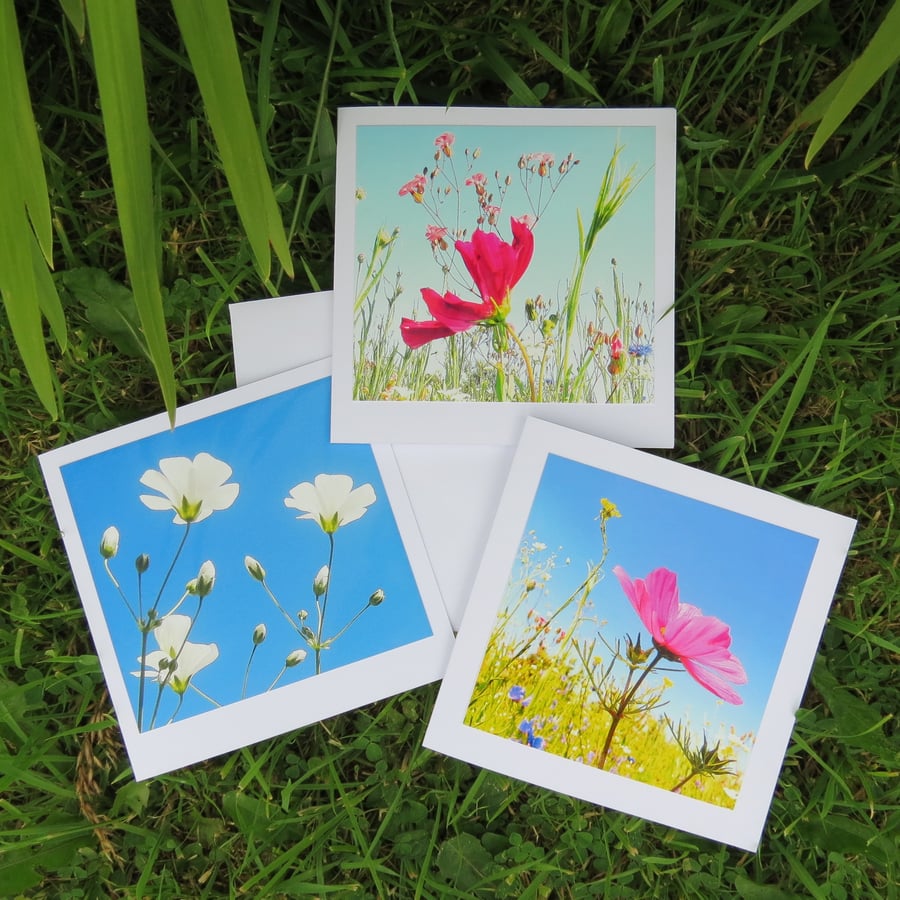 Wish upon a flower. A set of three cards, each featuring an original photograph.