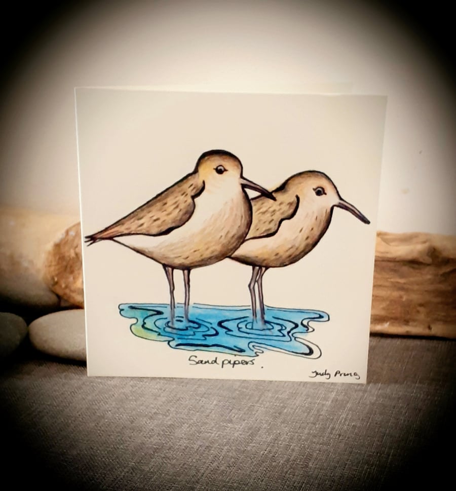 Hand drawn sandpipers coastal birds card 