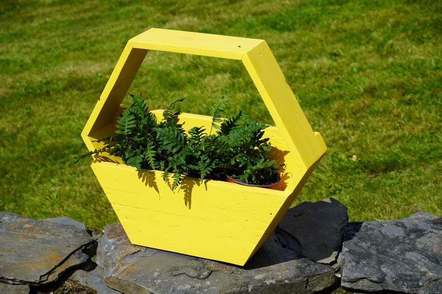 Hexagon Planter