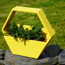 Hexagon Planter