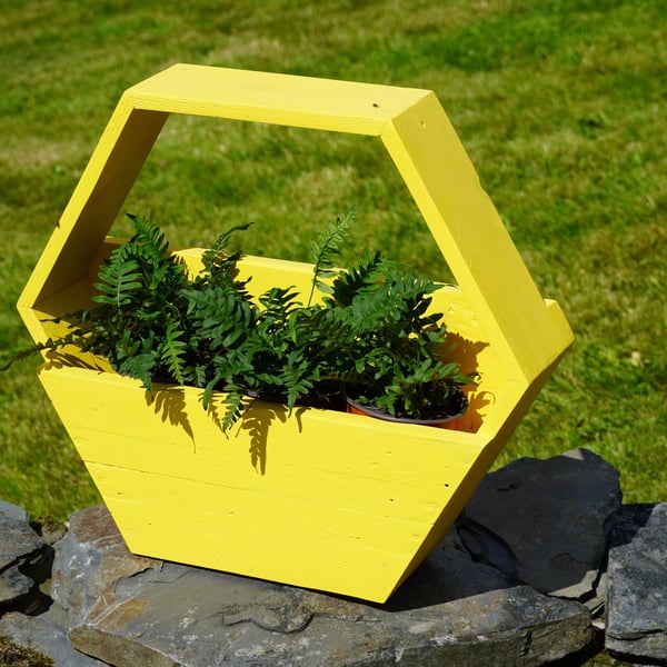 Hexagon Planter