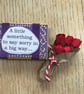  Apology Bouquet In A Matchbox - Image 3