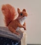 Red Squiggle - Bramley - Image 7