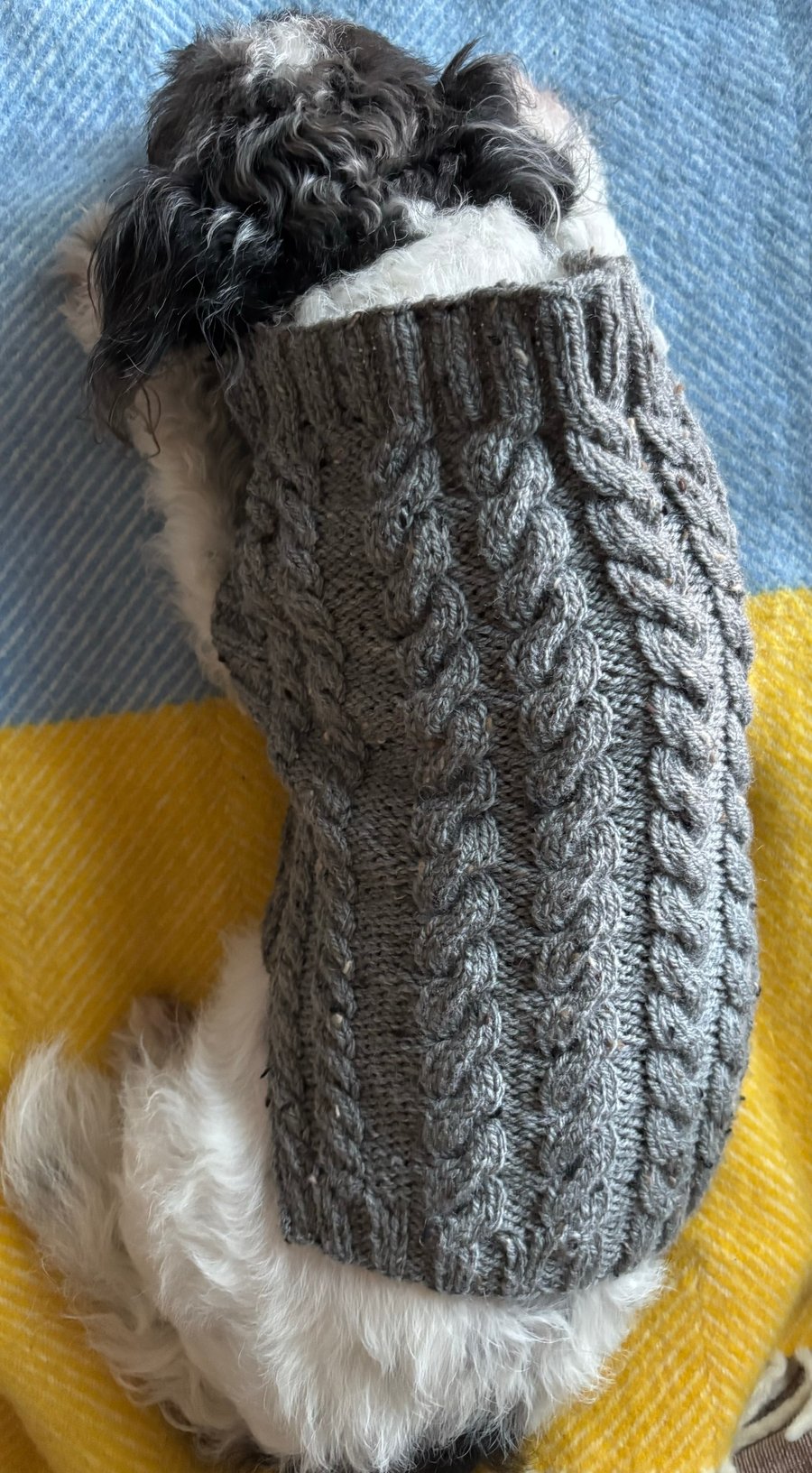 Aran Dog Jumper