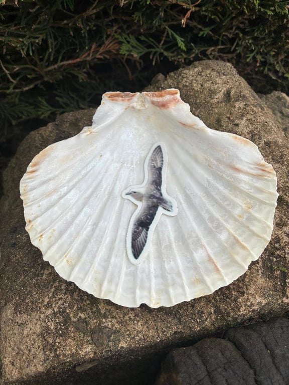 Die Cut Sticker from original photography Seagull seaside beach craft journal