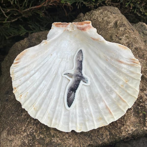 Die Cut Sticker from original photography Seagull seaside beach craft journal