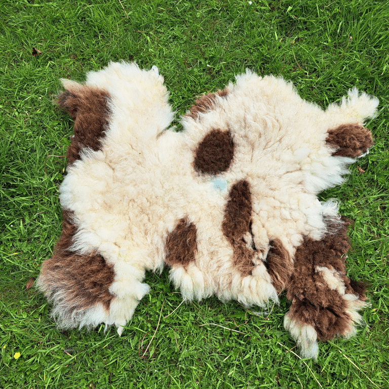 Pure Jacob wool rug Hand-Felted with soap and water