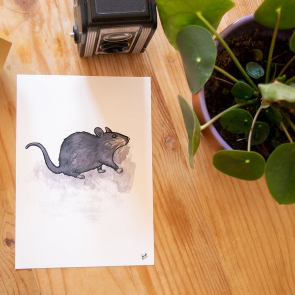 Little Rat Print