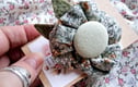brooches