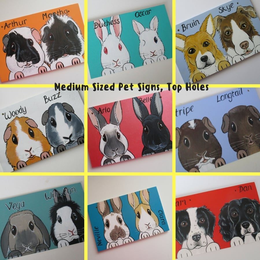Personalised Pet Sign customised for rabbits guinea pigs cats dogs M top holes