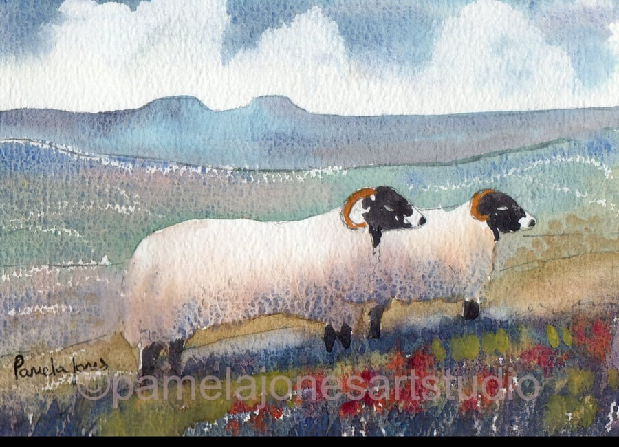 Sheep In The Brecon Beacons, Wales, Watercolour Print, in 8 x 6 '' Mount
