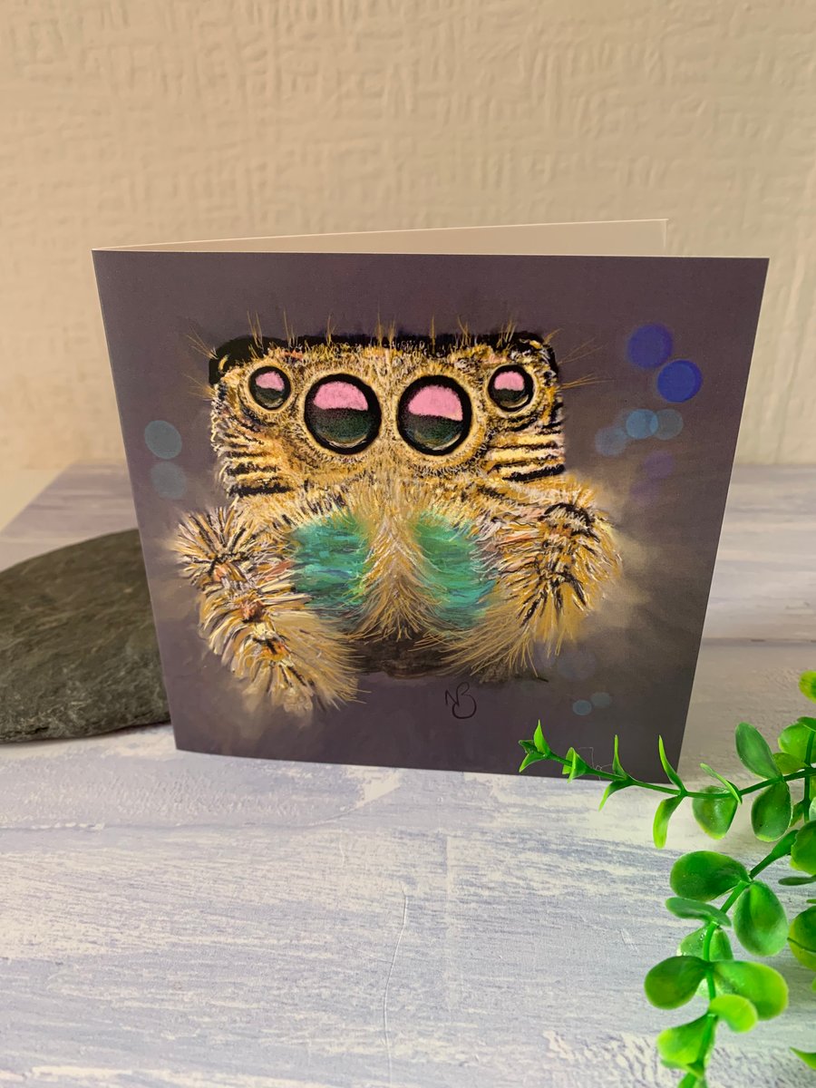 spider greetings card