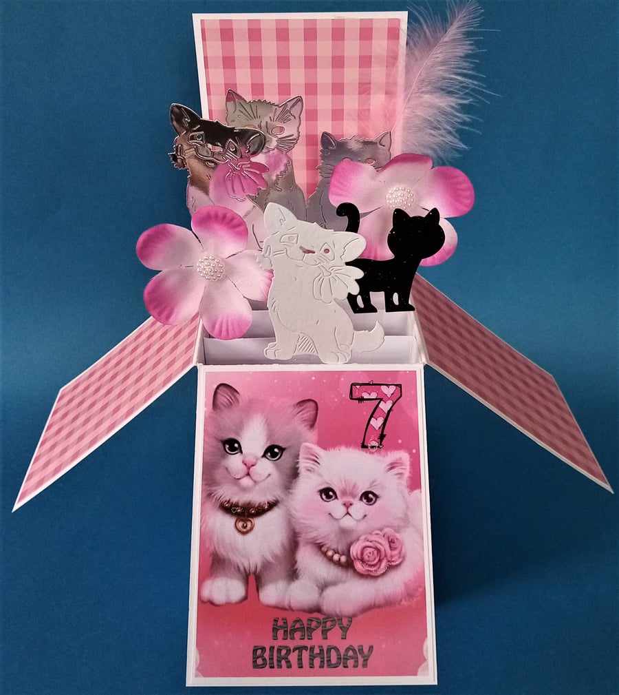 Girls 7th Birthday Card with cats