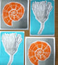 Orange Ammonite Card - Image 8