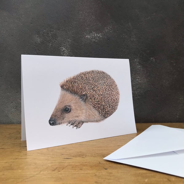 Hedgehog Card