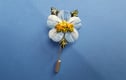 Apple Blossom & Alpine Flowers