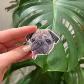 Custom Pet Face Stickers Sheet