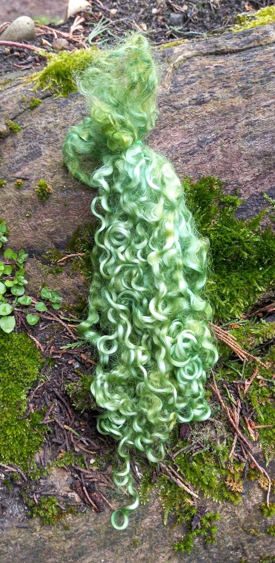 Moss Green Wensleydale fleece
