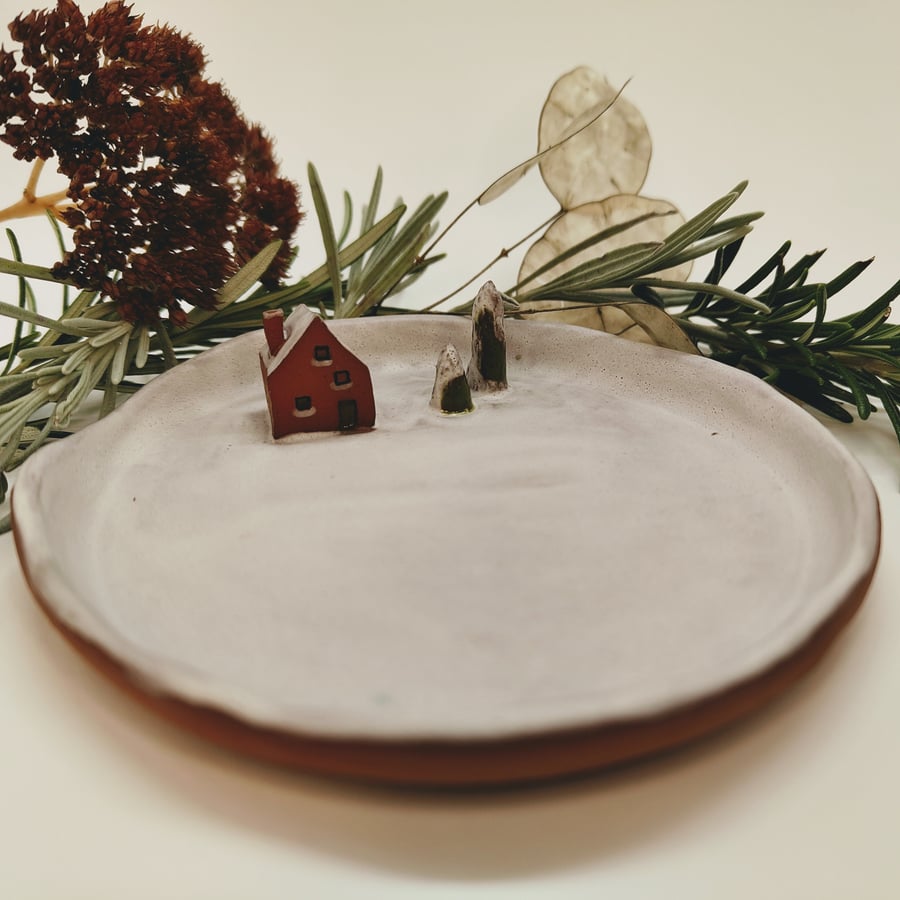 Tiny house and the snow