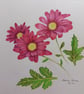 SUMMER FLOWERS - 4