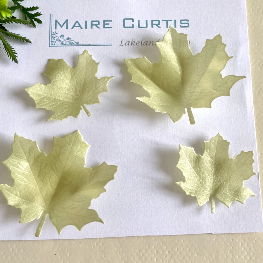 Sycamore or Maple leaves in silk satin