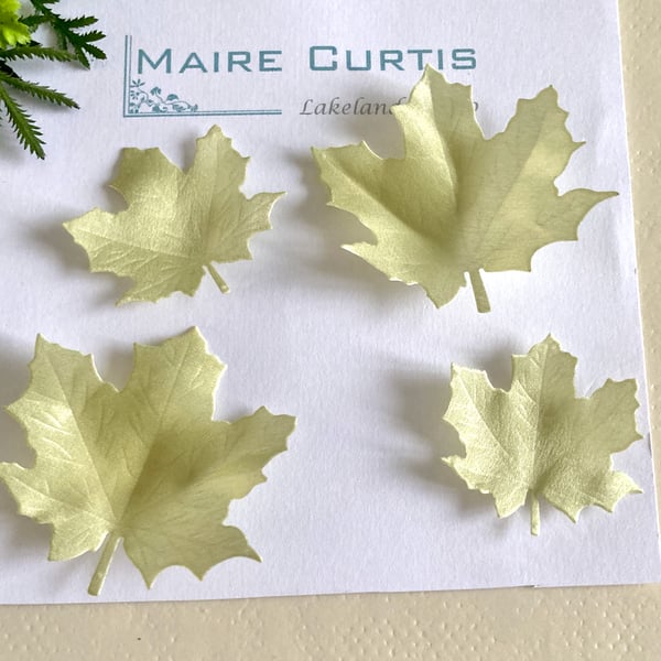 Sycamore or Maple leaves in silk satin