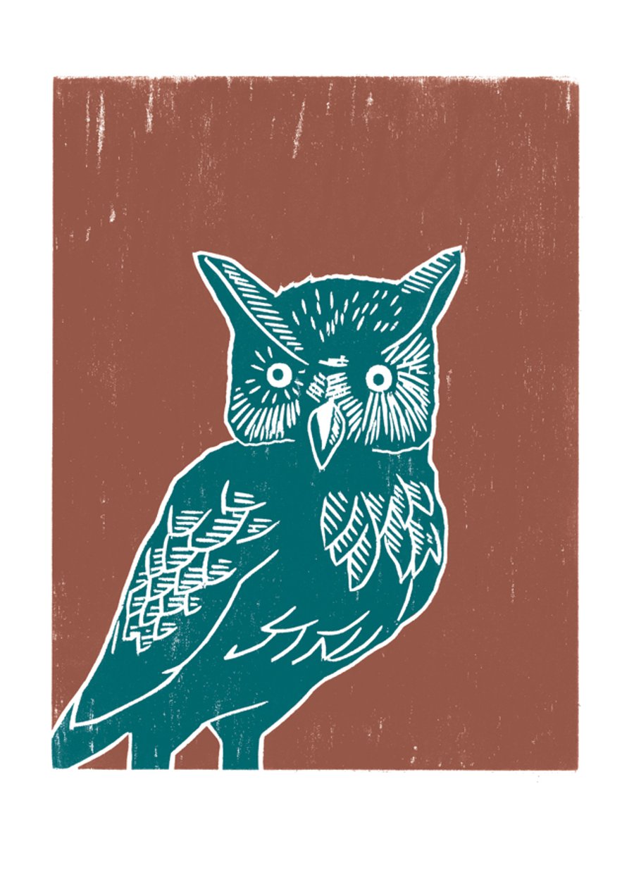 Long-eared Owl A3 poster-print (teal-orange)