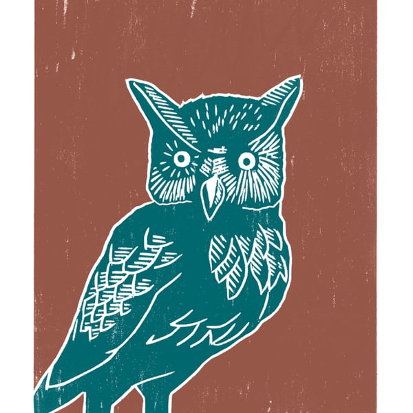 Long-eared Owl A3 poster-print (teal-orange)