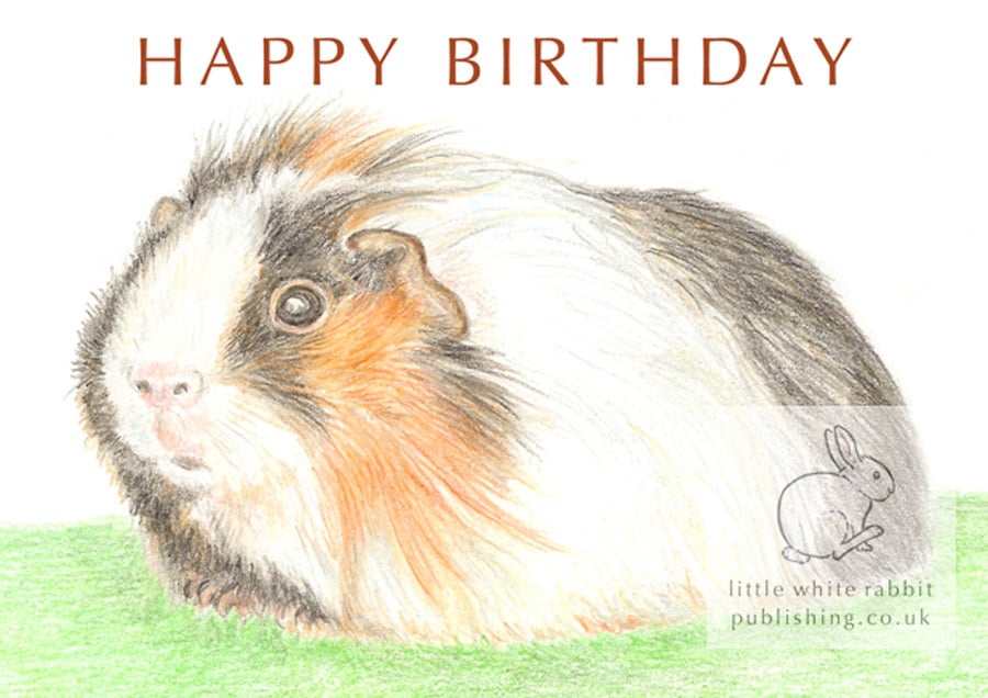 Gus the Guinea Pig - Birthday Card