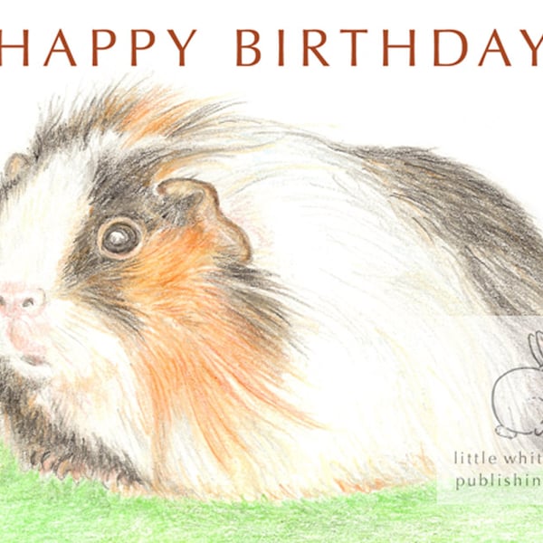Gus the Guinea Pig - Birthday Card
