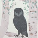 Little Owl in Birch Trees