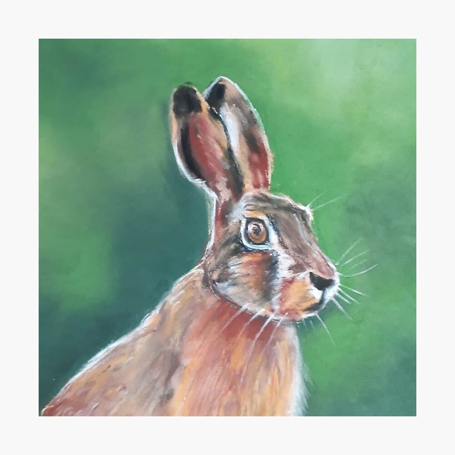 Norfolk hare print