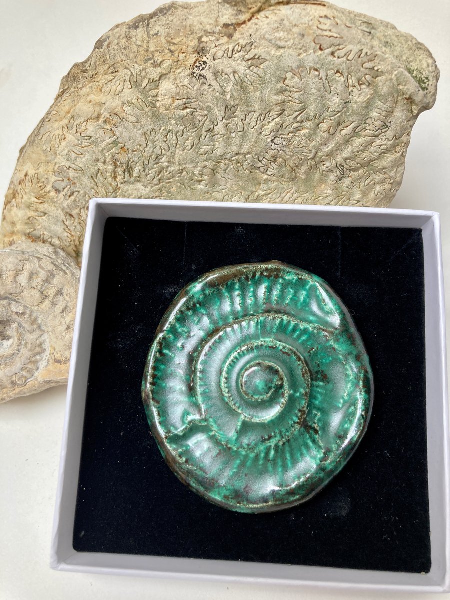 Ceramic fossil Imprint Brooch