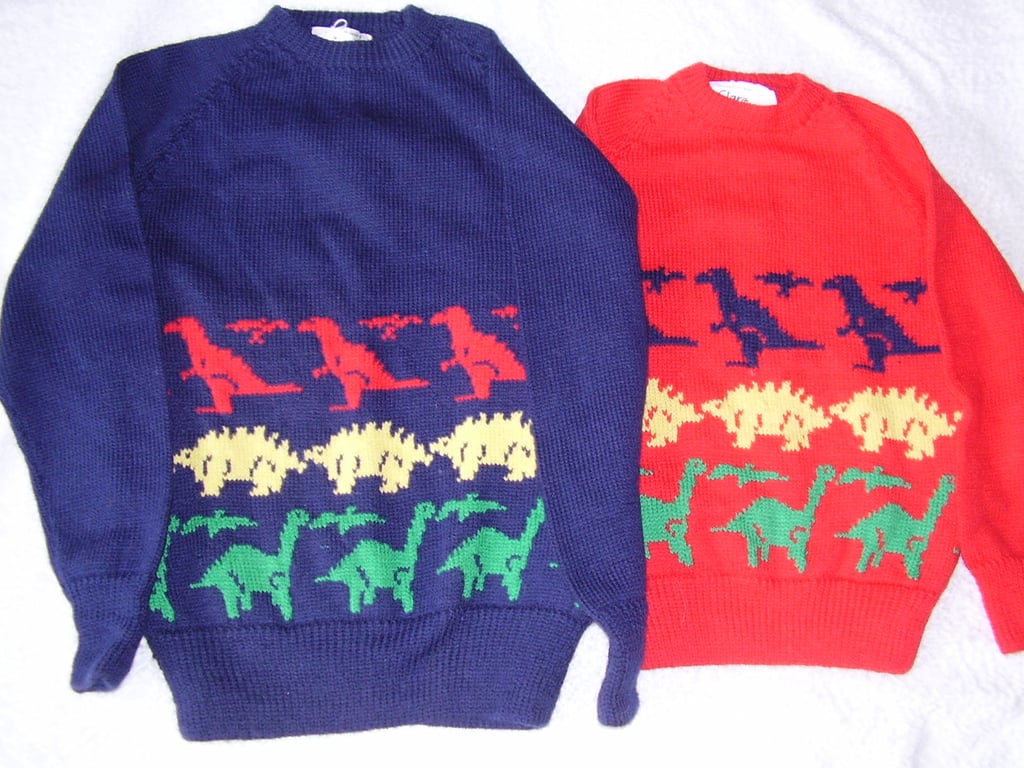 Dinosaur Jumper in machine wash wool.Made to order any colour